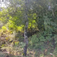 راهنمایی کار 18 سالمه