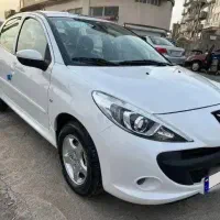 ۲۰۷ پانامرا خشک