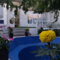 آموزش موسیقی