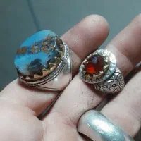 انگشتر شجر دریای مصور