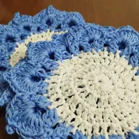 انواع لیف و اسکاج و زیزبشقابی با قیمت مناسب