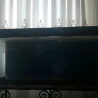 اکواریوم