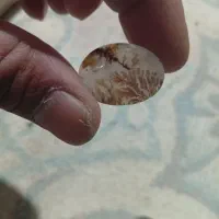 شجر|جواهرات|کرمان, |دیوار