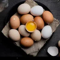 پخش کلی و جزئی تخم مرغ