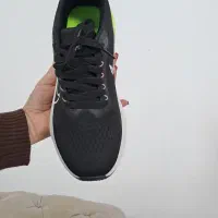 کتونی زنانه|کیف، کفش، کمربند|آستارا, |دیوار