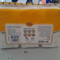 تولید دستمال کاغذی