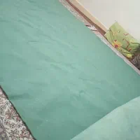موکت سبز زرنگ 12متر