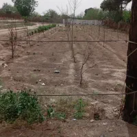 زمین پلایین