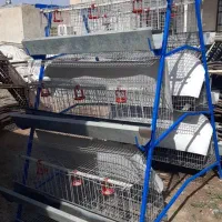 قفس مرغ تخمگذار