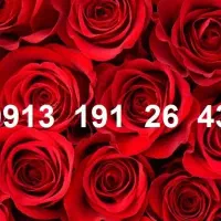 0913.191.7404|سیم‌کارت|رفسنجان, |دیوار