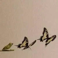 کتاب کنکوری