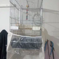 قفس کاسکو