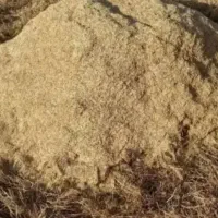 کاه گندم