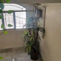نخل تزئینی مصنوعی|گل مصنوعی|تهران, بهداشت|دیوار