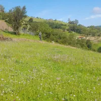 جوادی نژادهستم زمین دارم فروشی