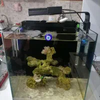 آکواریوم آب شور آبشور با لوازم و ماهی و ریف