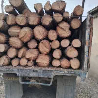 خریدوفروش چوب