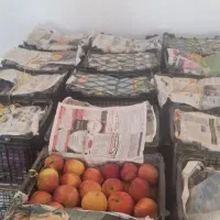 سیب استخوانی|خوردنی و آشامیدنی|قیدار, |دیوار