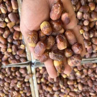 خرما زاهدی (قصب)|خوردنی و آشامیدنی|لامرد, |دیوار