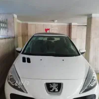 ۲۰۷ پانا خشک ۱۴۰۴ تحویل در نمایندگی