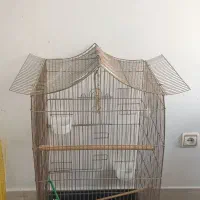 سه عدد قفس پرنده