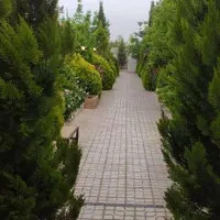 پخش درخت ودرختچه زینتی|خدمات باغبانی و درختکاری|شیراز, گویم|دیوار