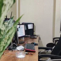استخدام گرافیست (طراح)