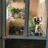 آپارتمان تک خواب 85متری|فروش آپارتمان|کازرون, |دیوار