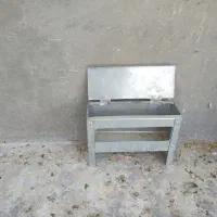 دونه خوری کبوتر ومرغ
