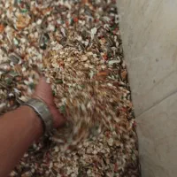 غذای  عروس هلندی  مخلوط