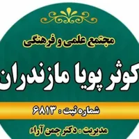 آموزش طراحی سایت بازار کار