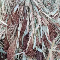 جارو برای بافته شدن
