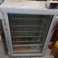 دستگاه جوجه کشی مشهد برق|لوازم جانبی حیوانات|یزد, |دیوار