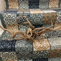 چوب ابنوس اکواریوم