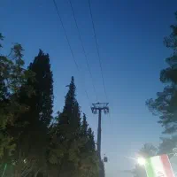 جشنواره نان
