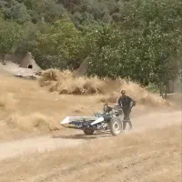 دروکن گندم، جو ..