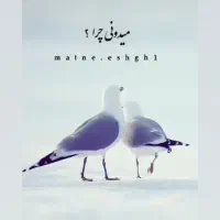 ب یک خانم مجرد جهت نگهداری و پرستاری از کودکمان