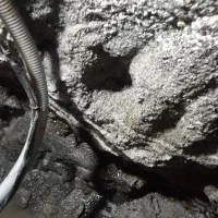 سیمانکاری وحفر چاه در خدمت همشهریان عزیز هستم|خدمات پیشه و مهارت|تویسرکان, |دیوار