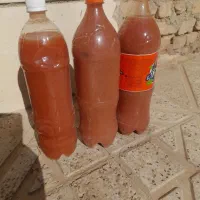 ابغوره خانگی