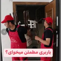 باربری((شفق بار))بسته بندی چیدمان مجوز رسمی|خدمات حمل و نقل|اردبیل, |دیوار