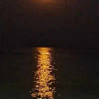 سیم کارت ۹۱۲