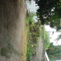 اجاره روزانه وماهانه سوییت  نزدیک  ساحل قروق|اجارهٔ کوتاهمدت آپارتمان و سوئیت|تالش, جوکندان|دیوار