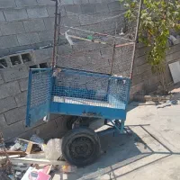 بودی