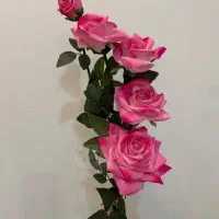 ‌کارت ملی به اسم رضا نثاری گم کردم