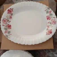 ظروف سروپذیرایی