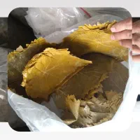 خرید فرش برگ مو