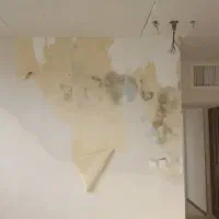 نقاشی ساختمان کناف درب وپنجره گلدان باکس کنتکس|خدمات پیشه و مهارت|شیراز, احمدی جنوبی|دیوار