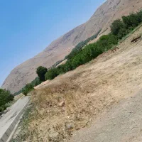 زمین-مسکونی