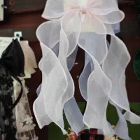 کش گیره کلیپس تل آینه