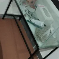 آکواریوم باتمام وسایلش وپایه آهنی